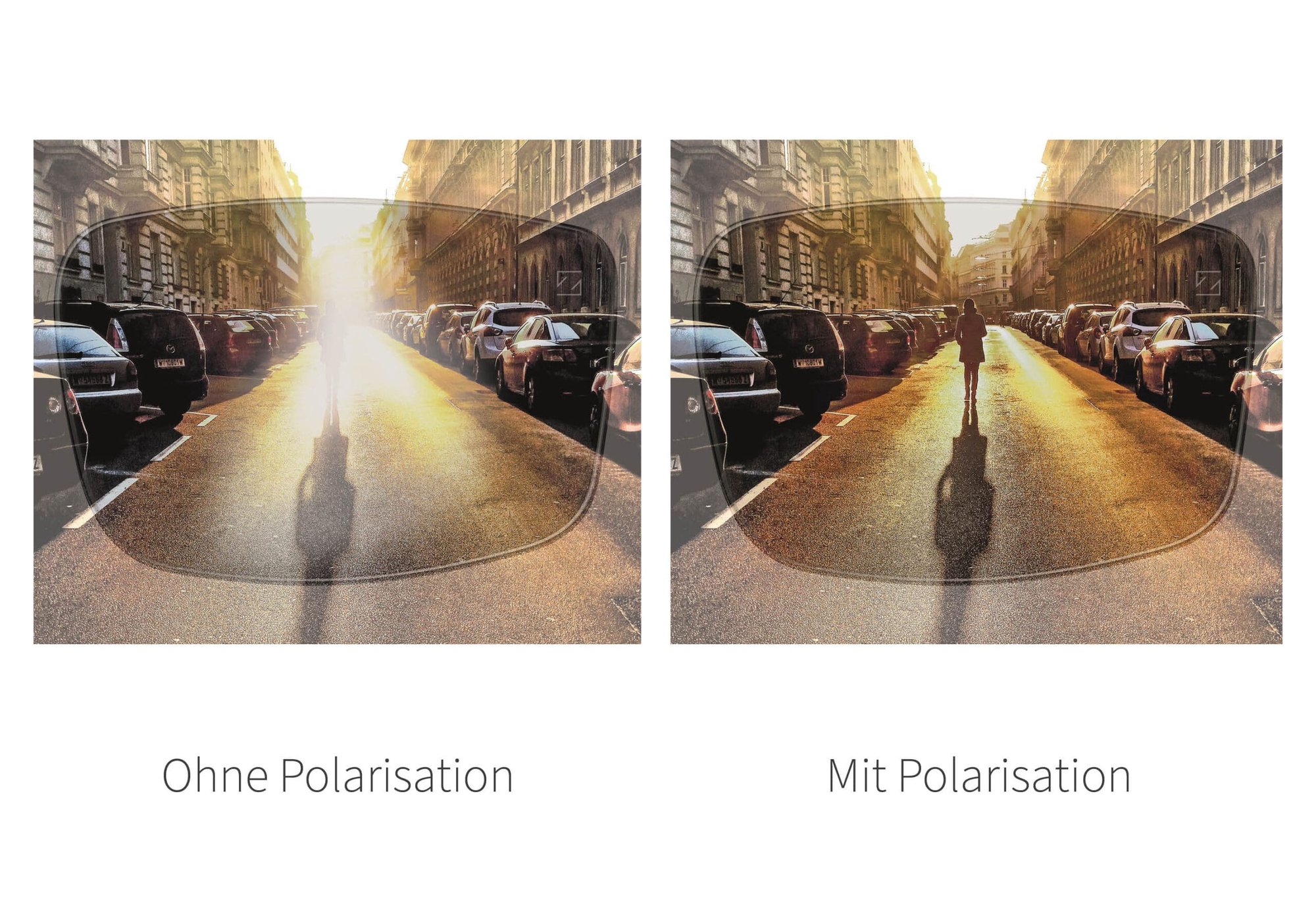 Grafik Polarisation